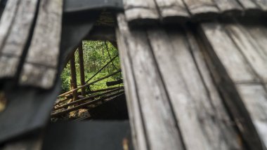 Yeşil orman bakan bambu çatı alanı