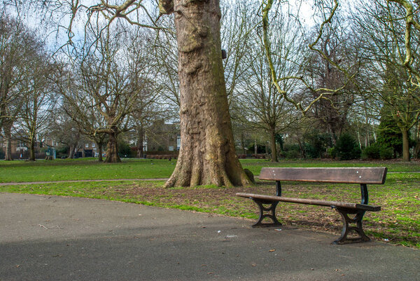 Beautiful panoramic view of Ravenscourt Park in London with old trees, wooden bench and Bright air in spring