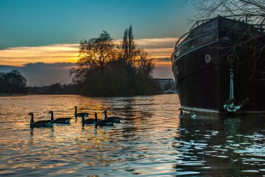 Kew Köprüsü Nehri 'nin güzelliği