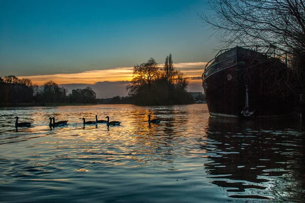 Skönheten i Kew Bridge floden — Stockfoto