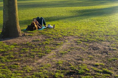 Genç kadınlar parkta dijital tablet kullanıyor. Uzak teknisyen