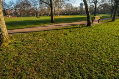 Ahşap Bank sonbahar parkta. Sonbahar manzara