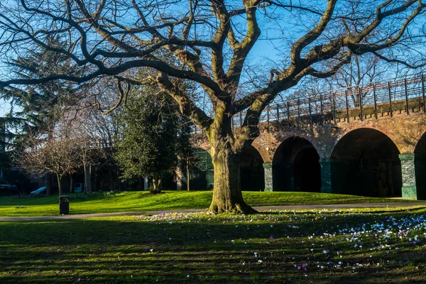 Automne à Ravenscourt Park, Londres — Photo