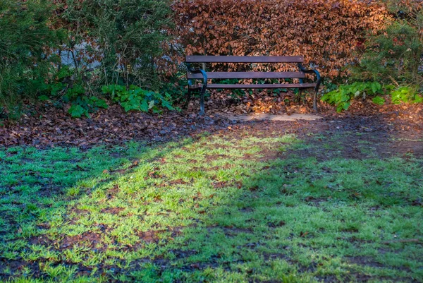 Bench in a park in spring time — Stock Photo, Image