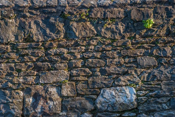 Den gamla stenmur konsistensen. — Stockfoto