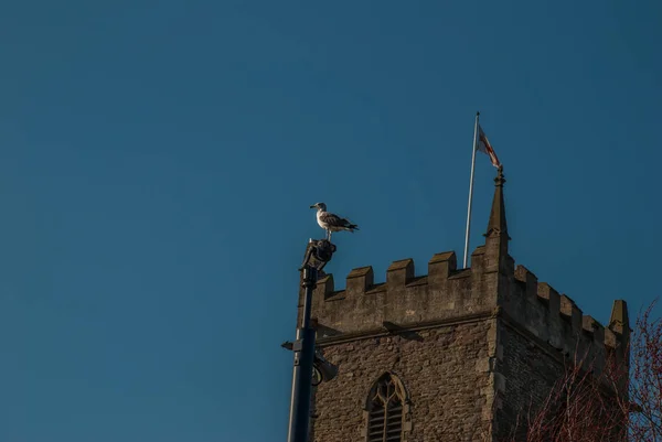 在城堡塔上休息的鸽子 — 图库照片