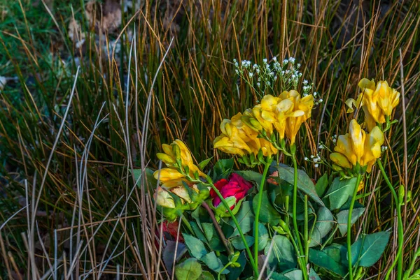 Ein Strauß Rosen auf einem Heuhaufen — Stockfoto