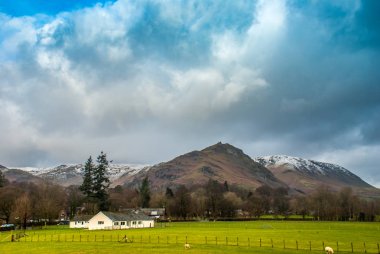 Bir dağ arka plan ile koyun çiftliği.