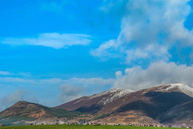 Tepede ördekler ile İngiliz kırsal manzara