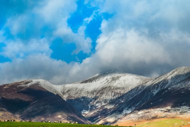 Tepede ördekler ile İngiliz kırsal manzara