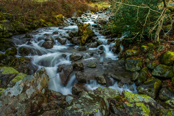 Cachoeira verde floresta rio fluxo paisagem. — Fotografia de Stock