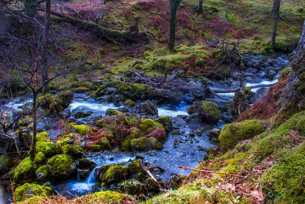 Водоспад зелений ліс річковий потік пейзаж . — стокове фото