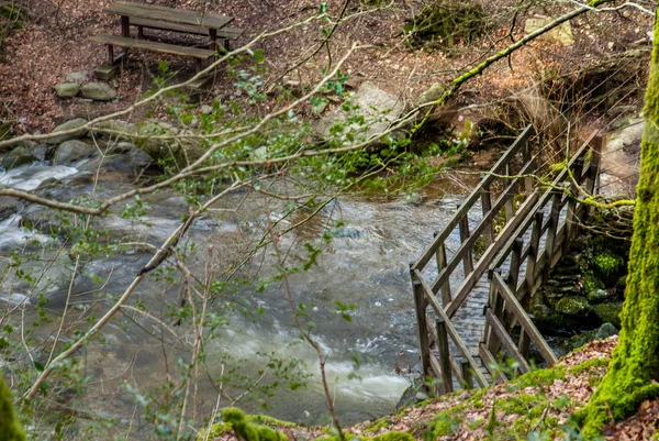 Ponte di legno attraverso un bellissimo ruscello nella foresta primaverile . — Foto Stock