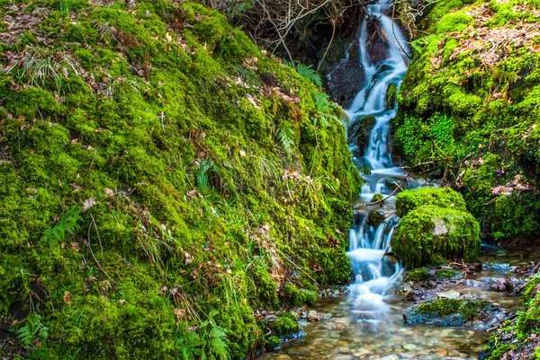 Piccola cascata Nella foresta primaverile — Foto Stock