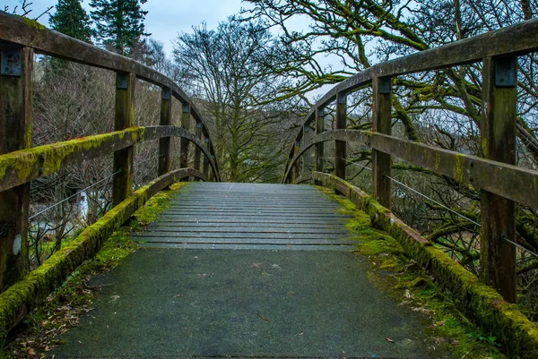 Ponte de madeira sobre riacho em Lake District . — Fotografia de Stock