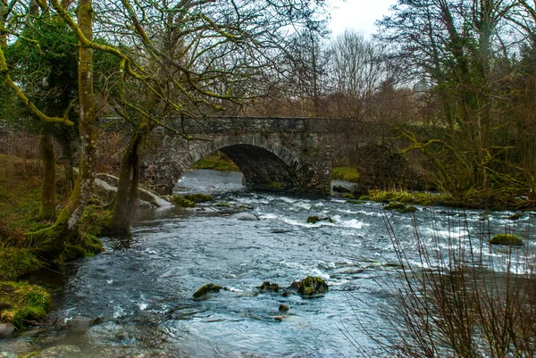 Bosque, río y cascada bajo un puente medieval de arco de piedra . — Foto de Stock