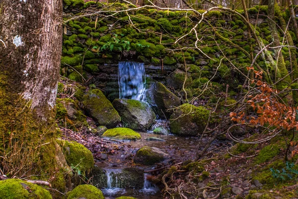 Piccola cascata Nella foresta primaverile — Foto Stock