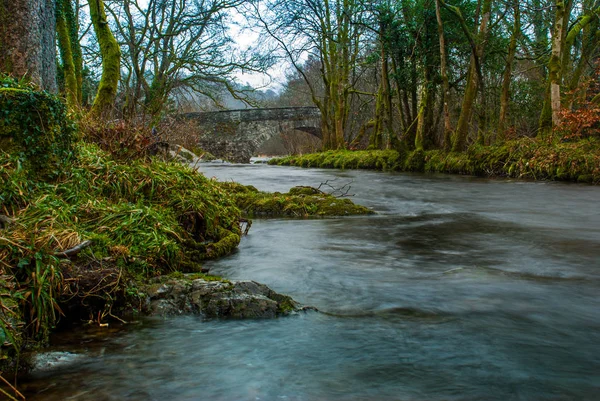 Bosque, río y cascada bajo un puente medieval de arco de piedra . — Foto de Stock
