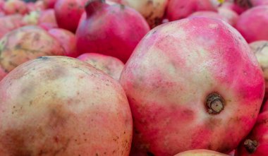 birçok nar, nar arka plan.