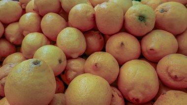 birçok greyfurt, greyfurt arka plan.