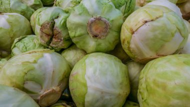 Pazarda satılan yeşil lahananın yakın çekim fotoğrafları.