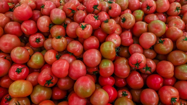 Röda tomater bakgrund. Tomatgrupp — Stockfoto