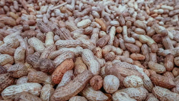 Close-up de alguns amendoins ou fundo de amendoim . — Fotografia de Stock
