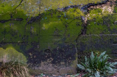 Tha Nehri boyunca eski tuğla duvar yüzeyleri Güzel desen