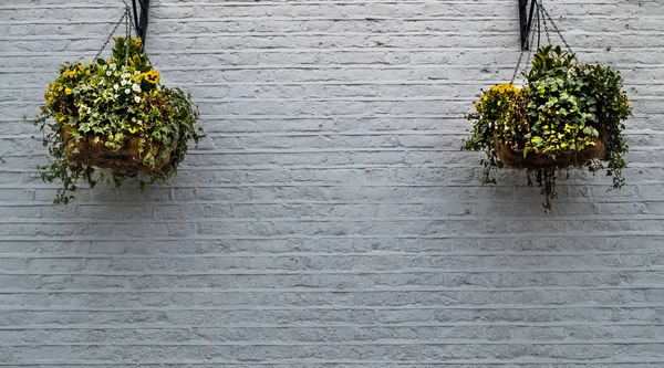 2 vasos de flores pendurados em uma parede de tijolo branco fora da casa . — Fotografia de Stock