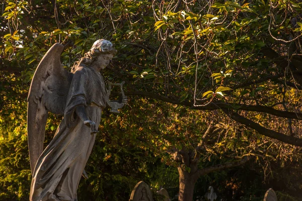 Vingene til en engel fra en gammel statue – stockfoto