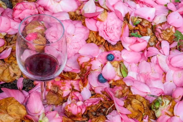 Bicchieri di vino in roseto . — Foto Stock