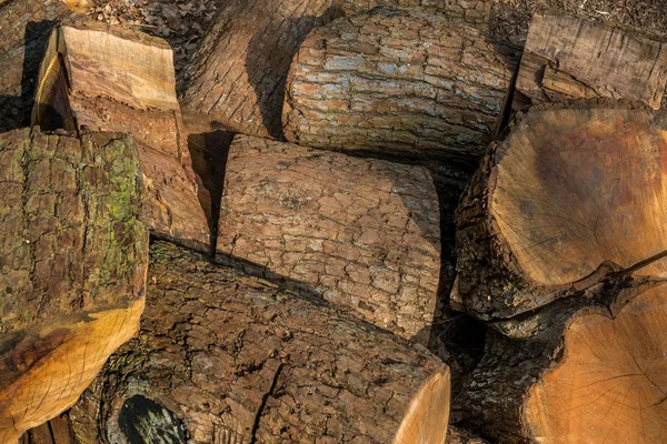 Leña seca, no picada yacía en un montón en el parque forestal —  Fotos de Stock