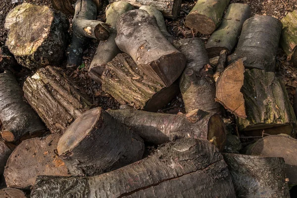 Leña seca, no picada yacía en un montón en el parque forestal —  Fotos de Stock