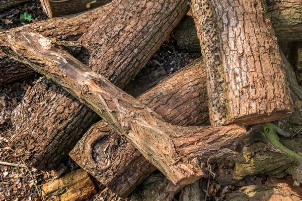 Leña seca, no picada yacía en un montón en el parque forestal —  Fotos de Stock