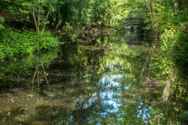 süs bahçesi gölet üzerinde kemerli ahşap köprü. 