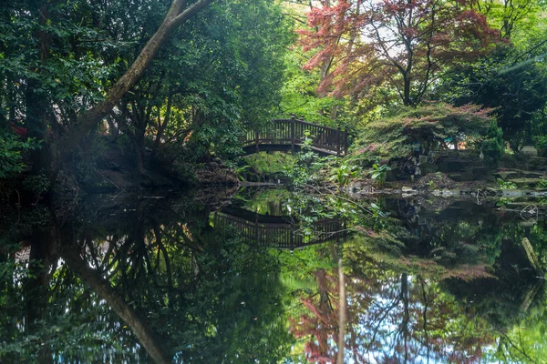 Puente de madera arqueada sobre estanque de jardín ornamental . — Foto de Stock