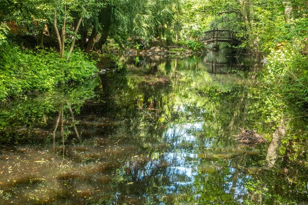 süs bahçesi gölet üzerinde kemerli ahşap köprü. 
