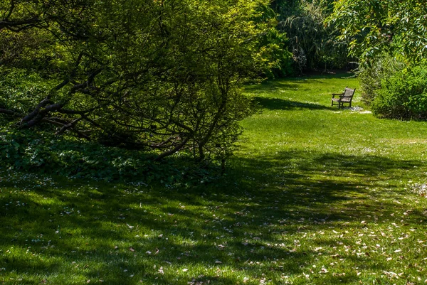 Wooden chair for relaxing in the garden. — Stock Photo, Image