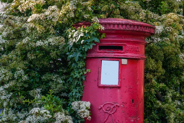 Traditionele Engelse postvakken met bomen bedekt. — Stockfoto