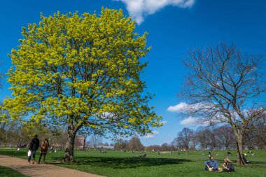 İnsanlar güzel bir günde Hyde Park'ta dinlenmek için geliyorlar..