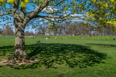 İnsanlar güzel bir günde Hyde Park'ta dinlenmek için geliyorlar..