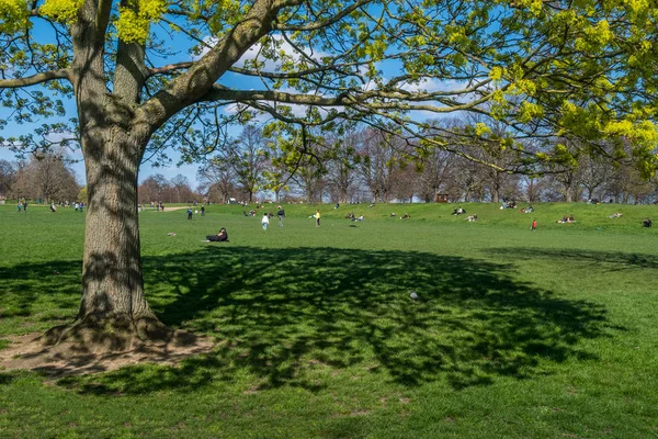 Människor kommer att koppla av på Hyde Park på en trevlig dag. — Stockfoto