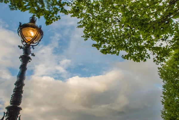 Ancient street lamps with trees that hav — Stock Photo, Image