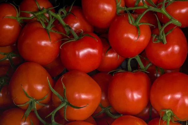 Rode tomaten achtergrond. — Stockfoto