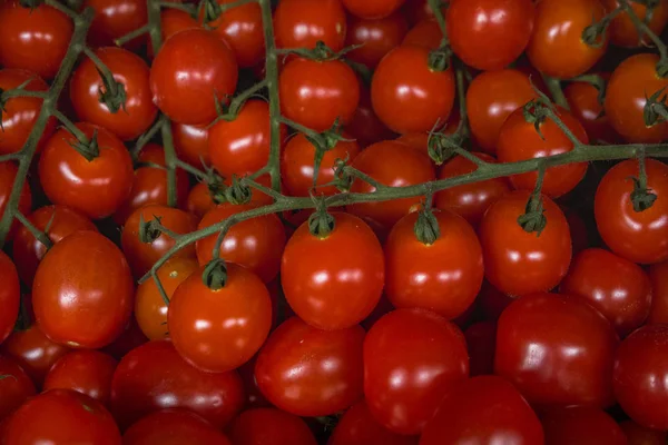 Rode tomaten achtergrond. — Stockfoto