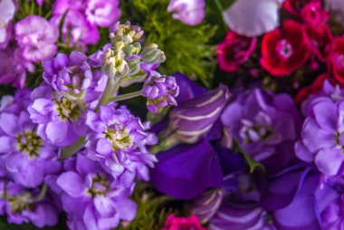 Güzel karışık çiçekli buket.