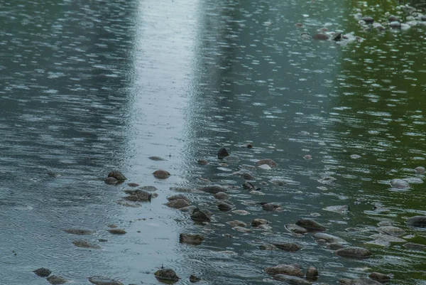 Droppar vatten faller på ytan av floden under regn. — Stockfoto