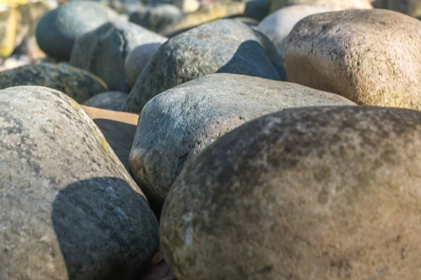 Achtergrond van grote kiezels. Stenen textuur — Stockfoto