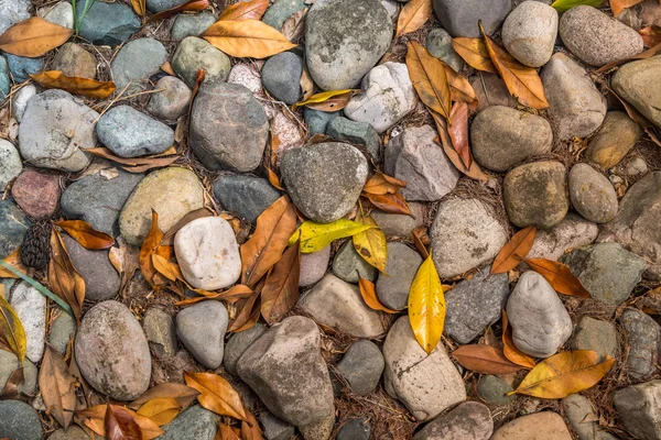 Abstract background texture, Colorful stones. — Stock Photo, Image