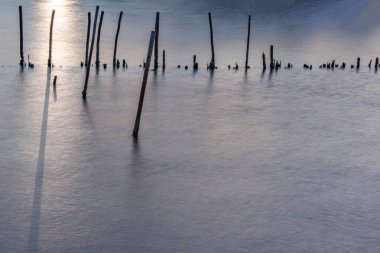Bang K alacakaranlık zaman Mangrove Orman dalga koruma hattı